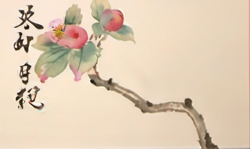 绿色消费心理对品牌可持续发展的影响